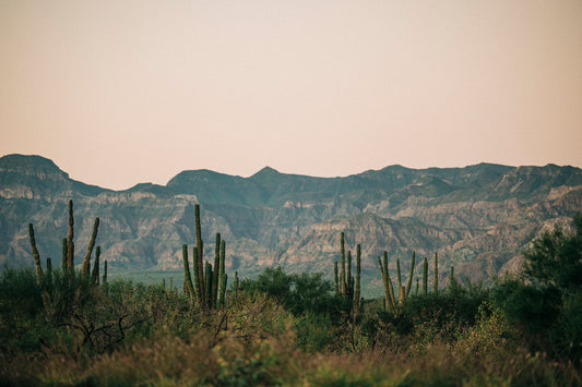 10 DAYS IN BAJA – LORETO TO CABO