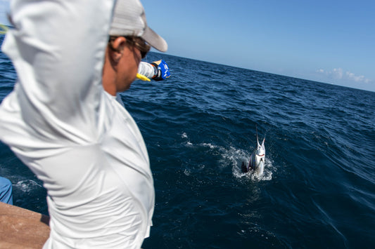 Sailfish and Scorpion Shots