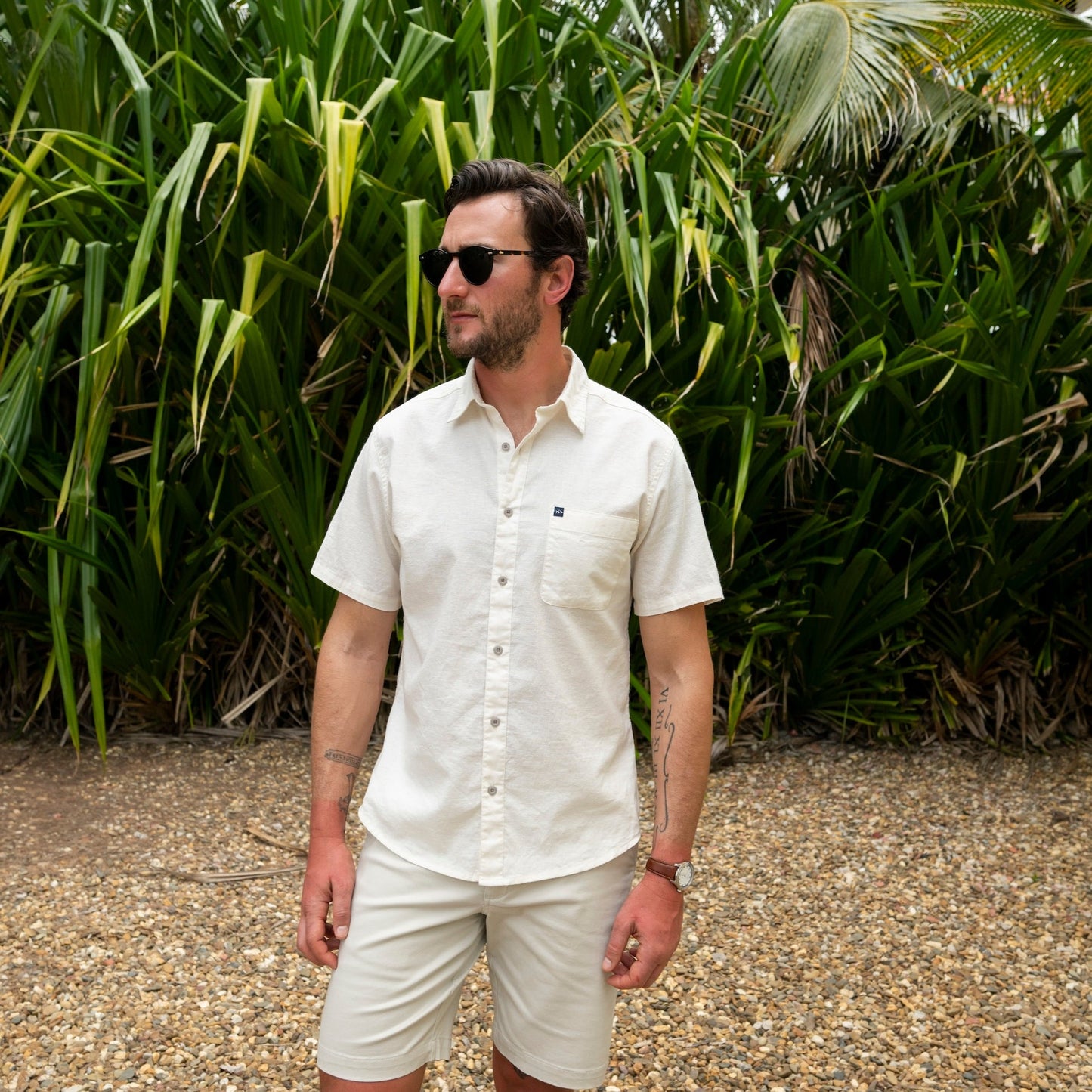 Coconut