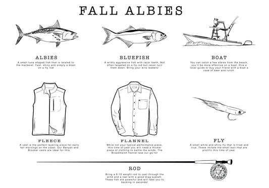 Fall Albies