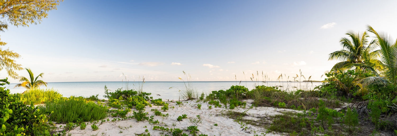 Graphic Flatwater Hoodies