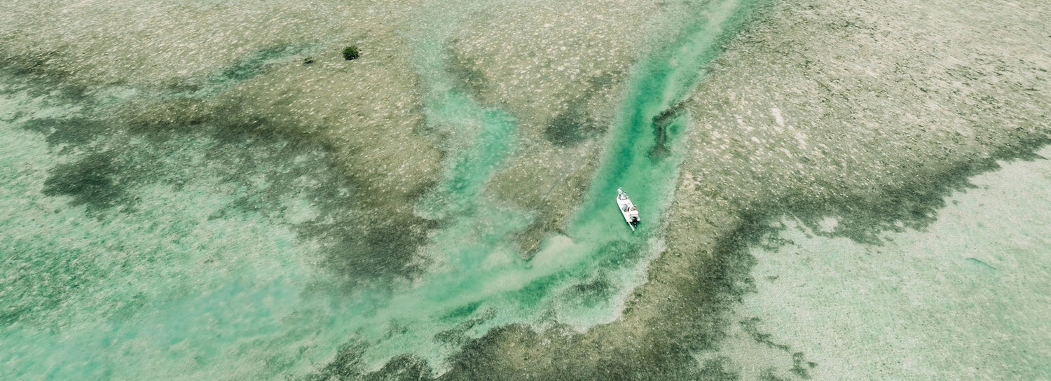 Hoodie + Long Sleeve Tee Bundle