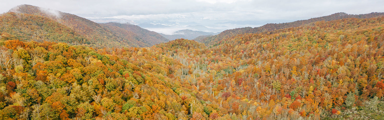 Banks Camo Collection