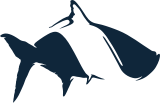 Fish Hippie logo